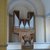 Orgel Stadtkirche