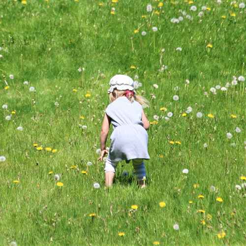 Ein Kind auf einer grünen Wiese